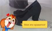 Замшевые туфли